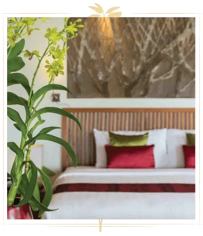 baanmika-home-content4-1