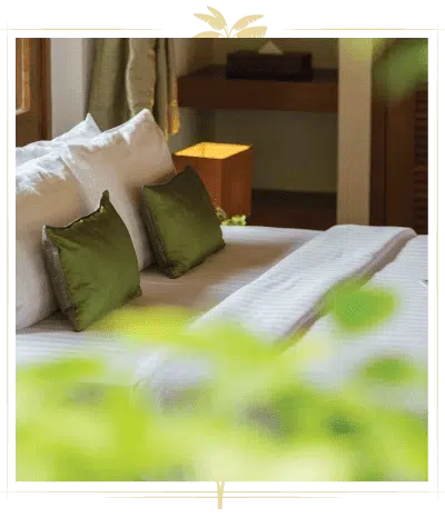 baanmika-home-content4-4